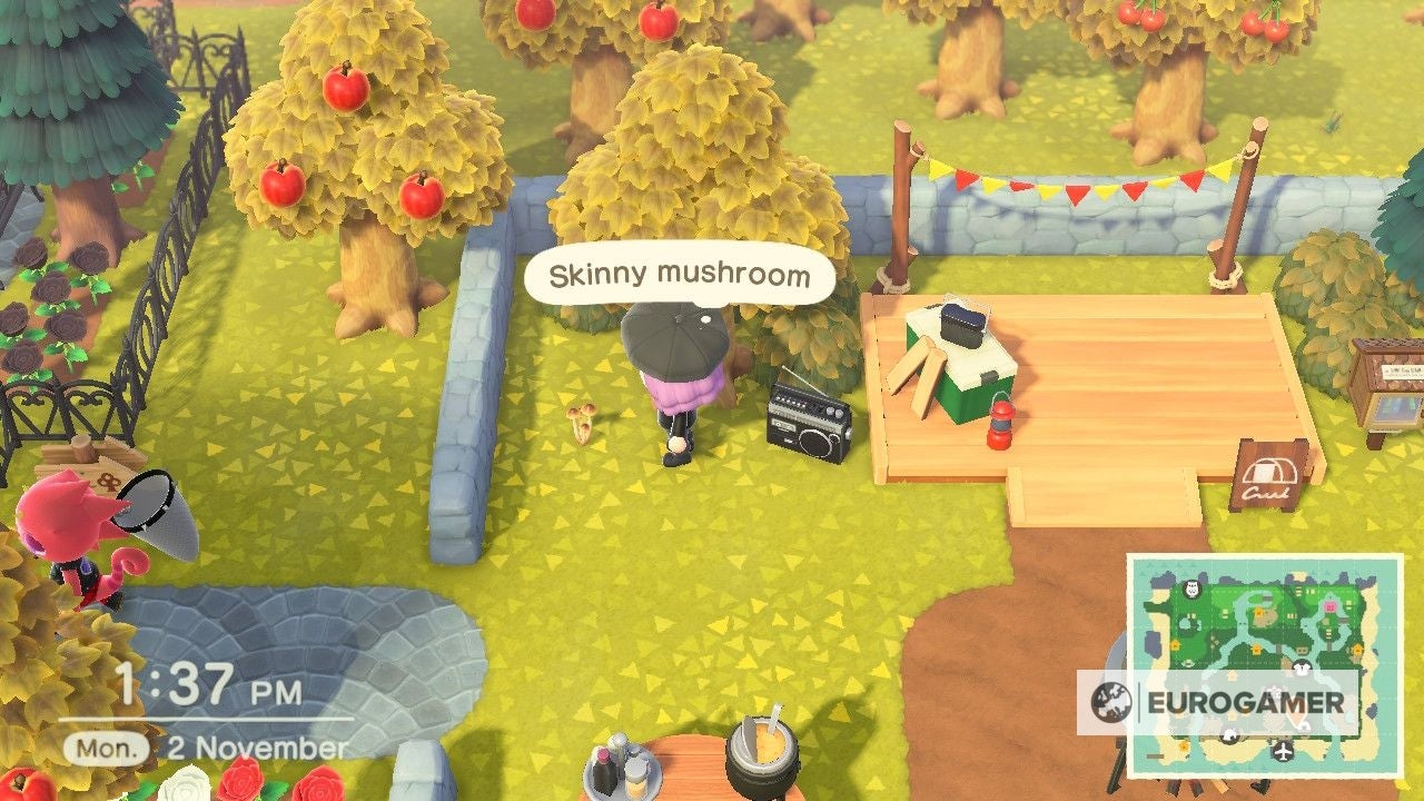 Animal Crossing Mushrooms How to get elegant, flat, rare, round and skinny mushrooms